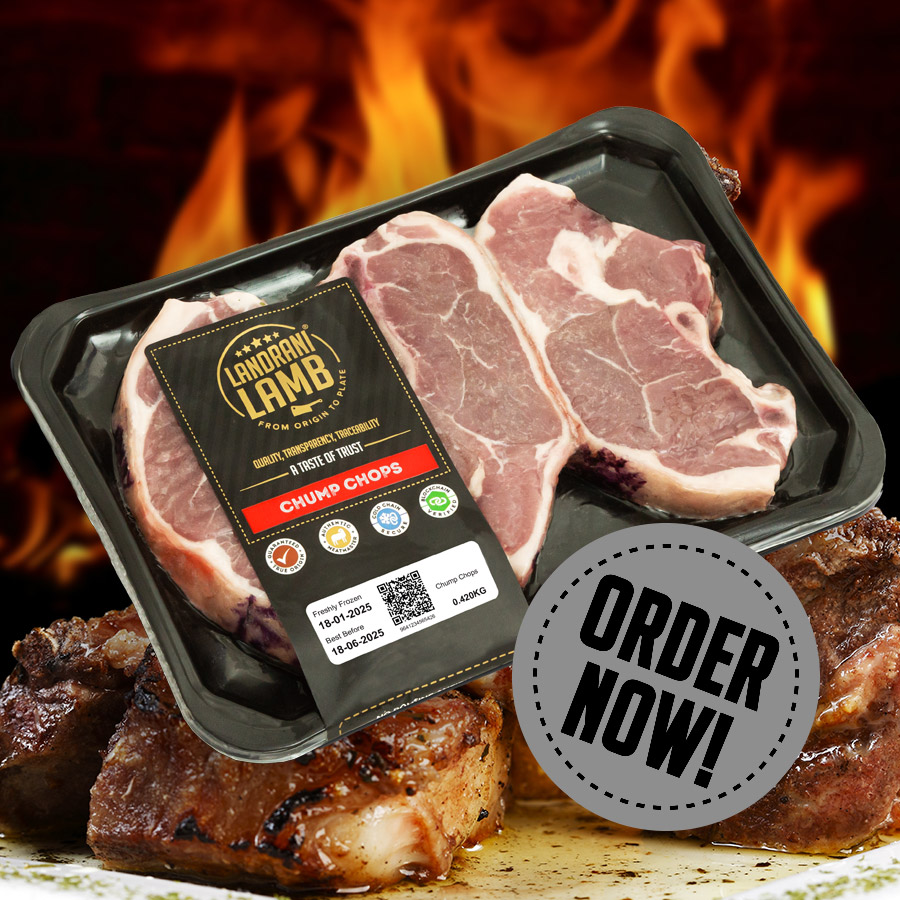Order Now
